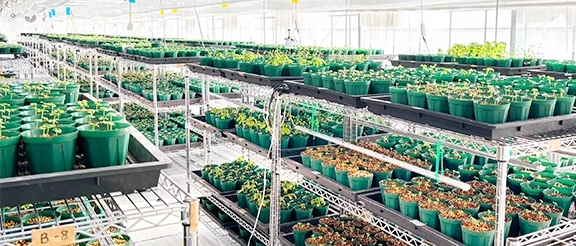 めぐるファームの写真