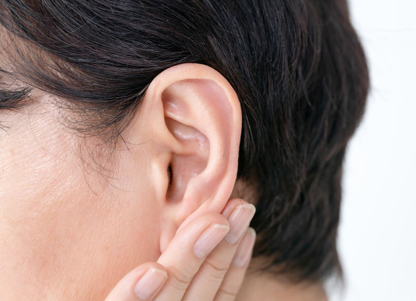 耳の画像