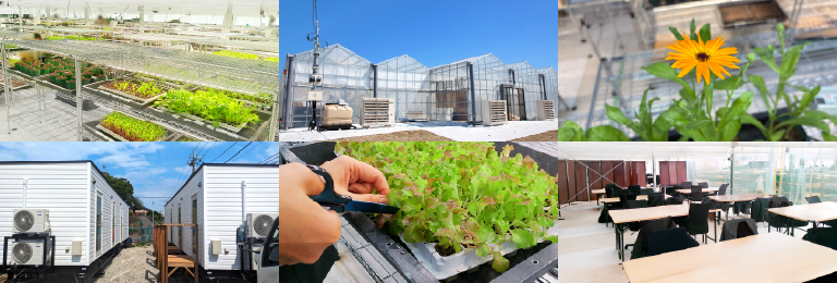 めぐるファームの外観と内観の写真