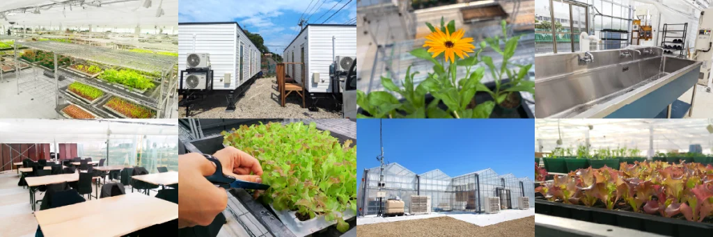 めぐるファームの外観と内観の写真